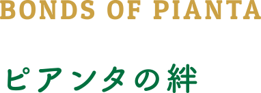 BONDS OF PIANTA ピアンタの絆